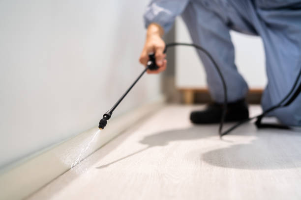 Licensed Pest Control service in Wiggins, MS - Show Me Pest Control