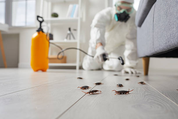 Post-Treatment Bed Bug Interceptor Monitoring in Wiggins