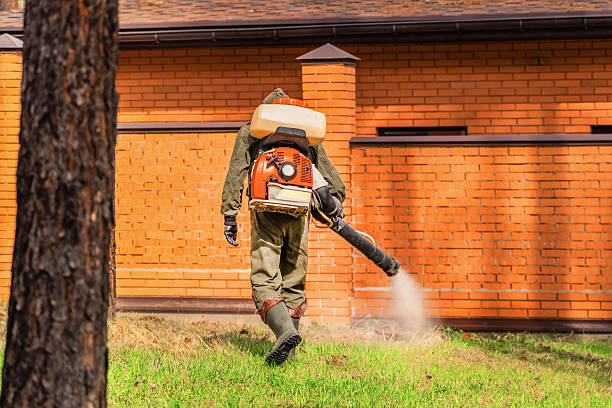 Bed Bug Clearance Verification and Documentation in Wiggins